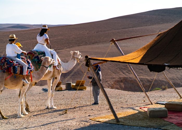 desert-oasis-et-palmeraie-1-jour4