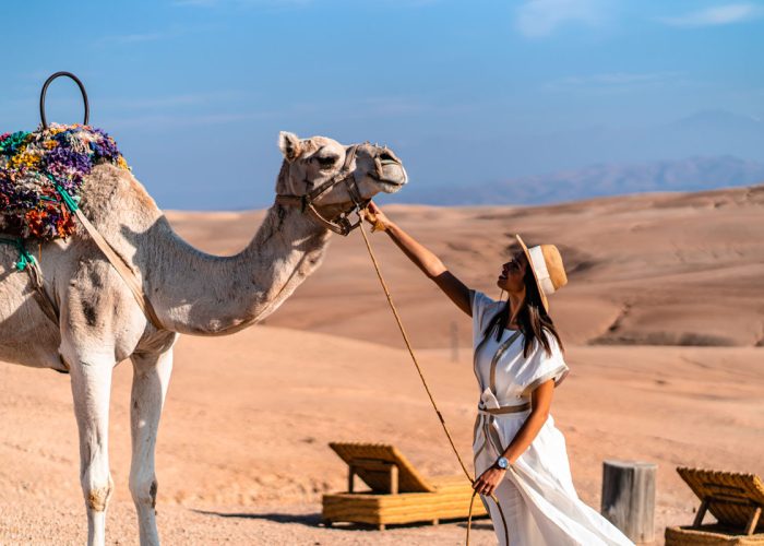 desert-oasis-et-palmeraie-1-jour6