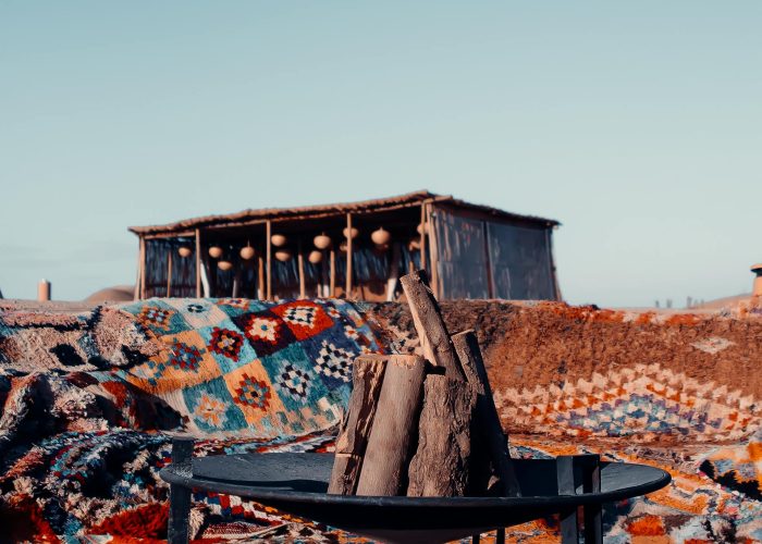 pexels-temlyder-30301220 (1)